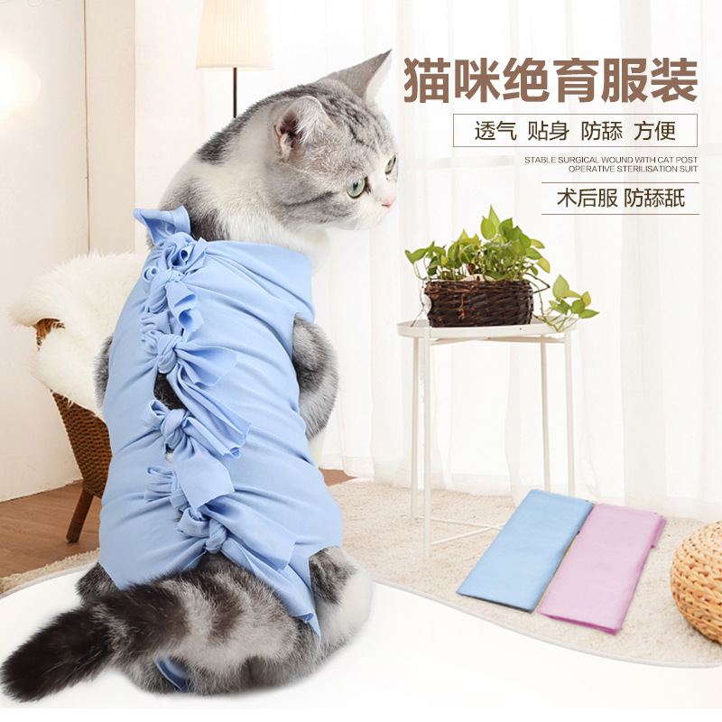 Cat wearing a light-blue post-surgery recovery suit with tie-back — wholesale from Promistars