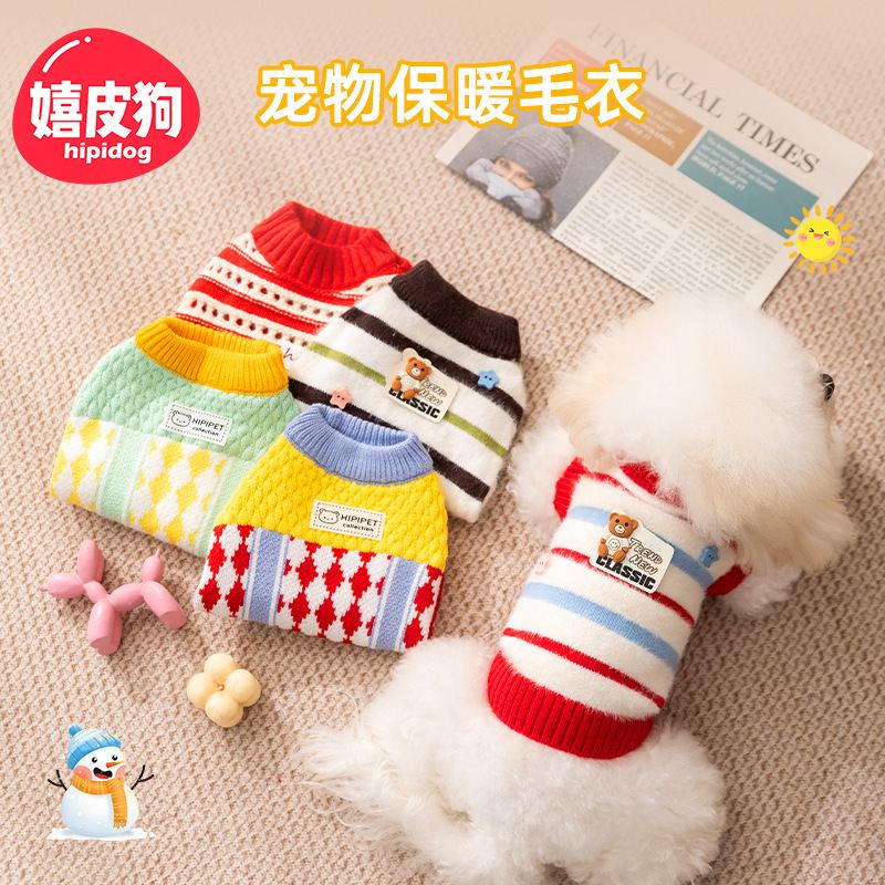 White bichon dog wearing a red and blue striped knit sweater